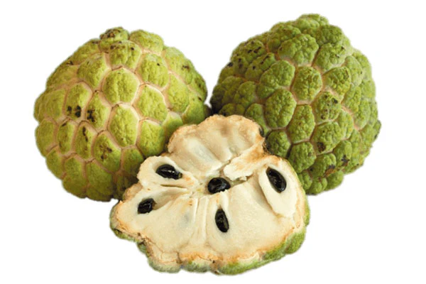 Custard Apple - సీతాఫలం