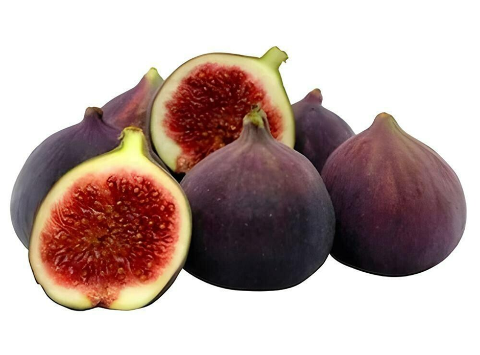 Fig - అత్తి పండు