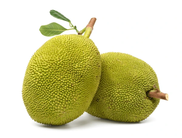 Jackfruit - పనసకాయ