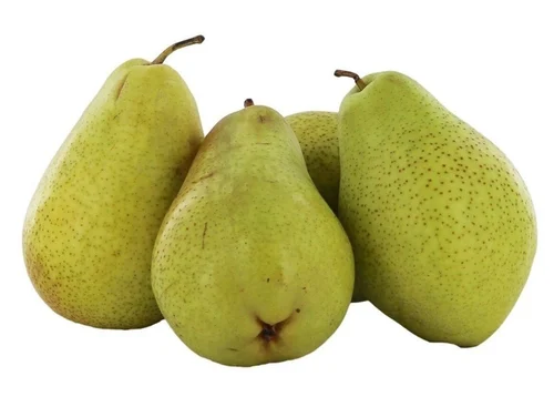 Pear - నాష్పతి