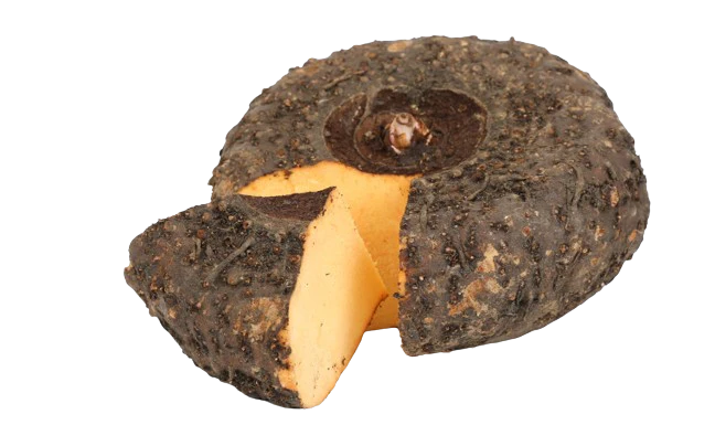 Elephant Foot Yam - కందగడ్డ