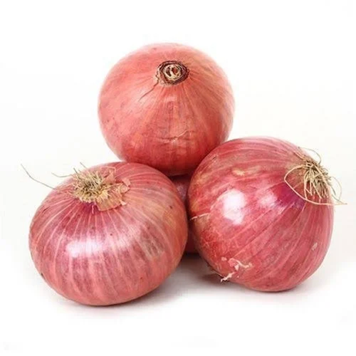 Onion - ఉల్లిపాయ