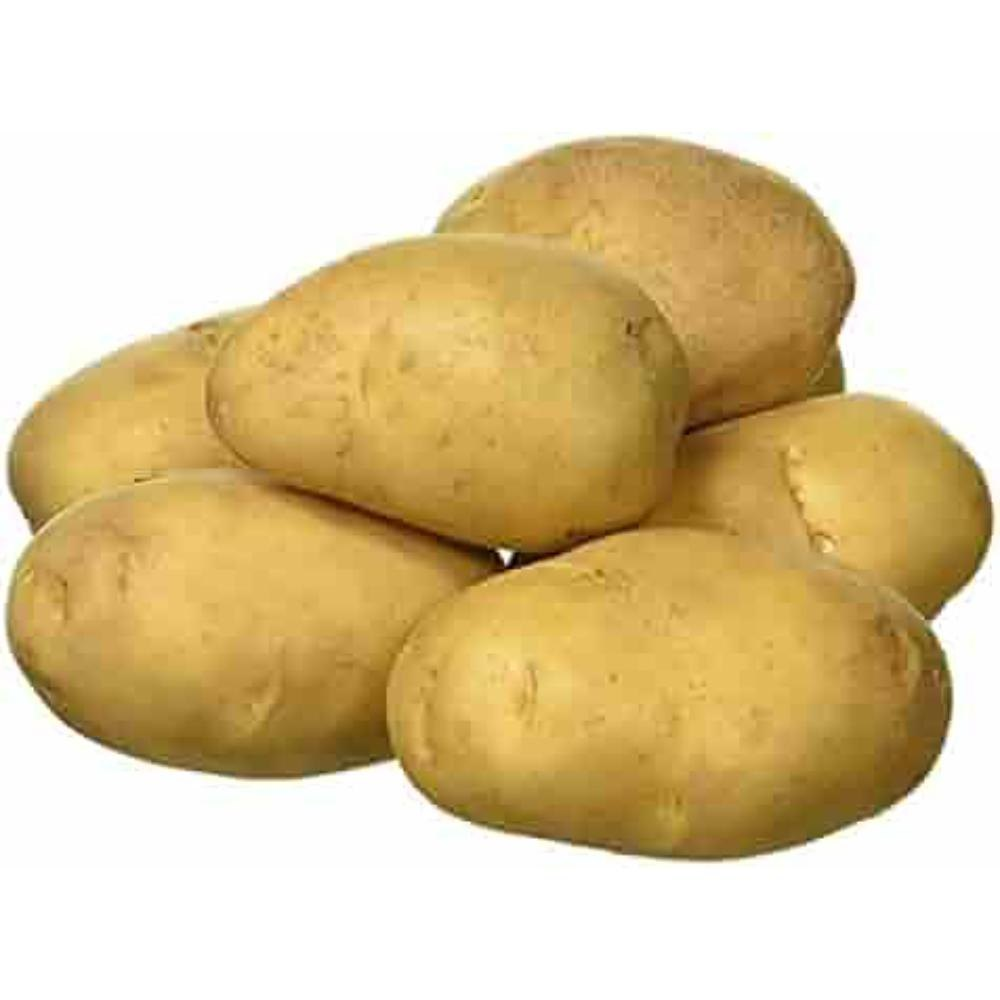 Potato - ఆలుగడ్డ