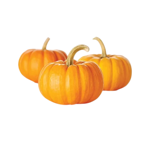 Pumpkin - గుమ్మడికాయ