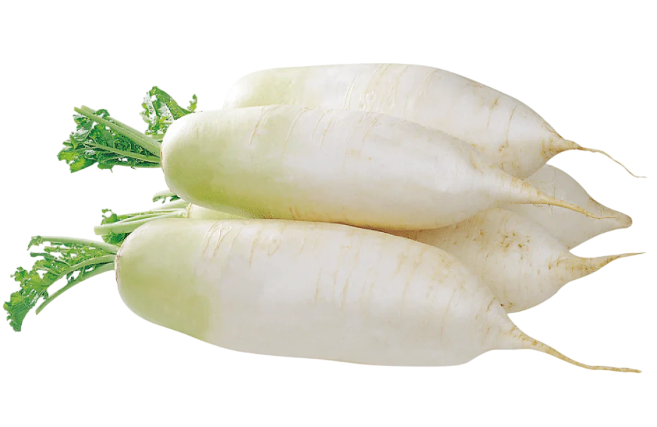 Radish - ముల్లంగి