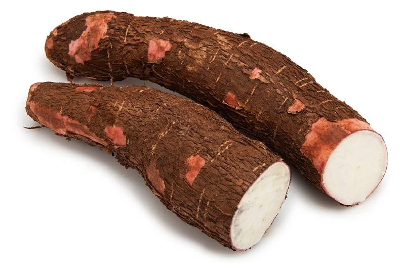 Tapioca - కర్రపెండలం